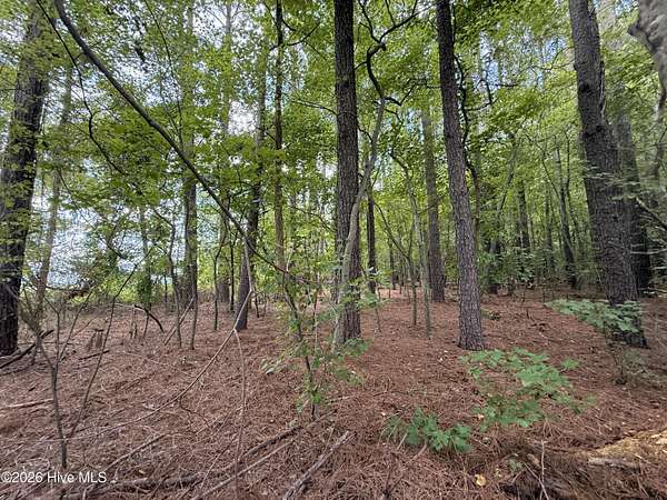 10.9 Acres of Recreational & Residential Land for Sale in Greenville, North Carolina