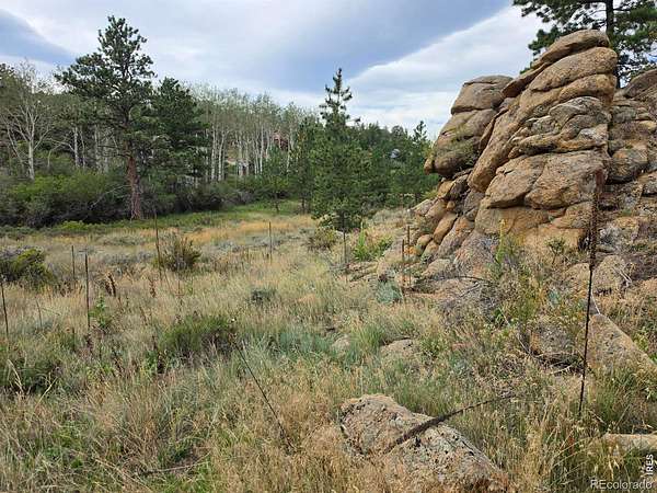 0.39 Acres of Land for Sale in Red Feather Lakes, Colorado