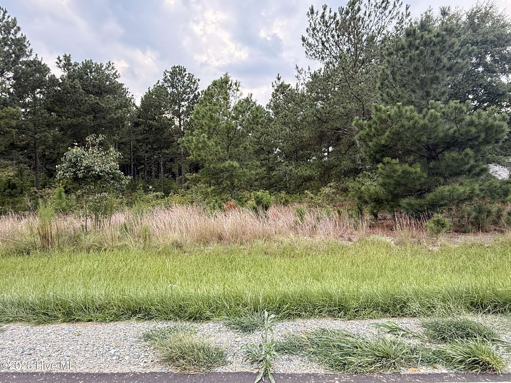 1 Acre of Residential Land for Sale in Jackson Springs, North Carolina