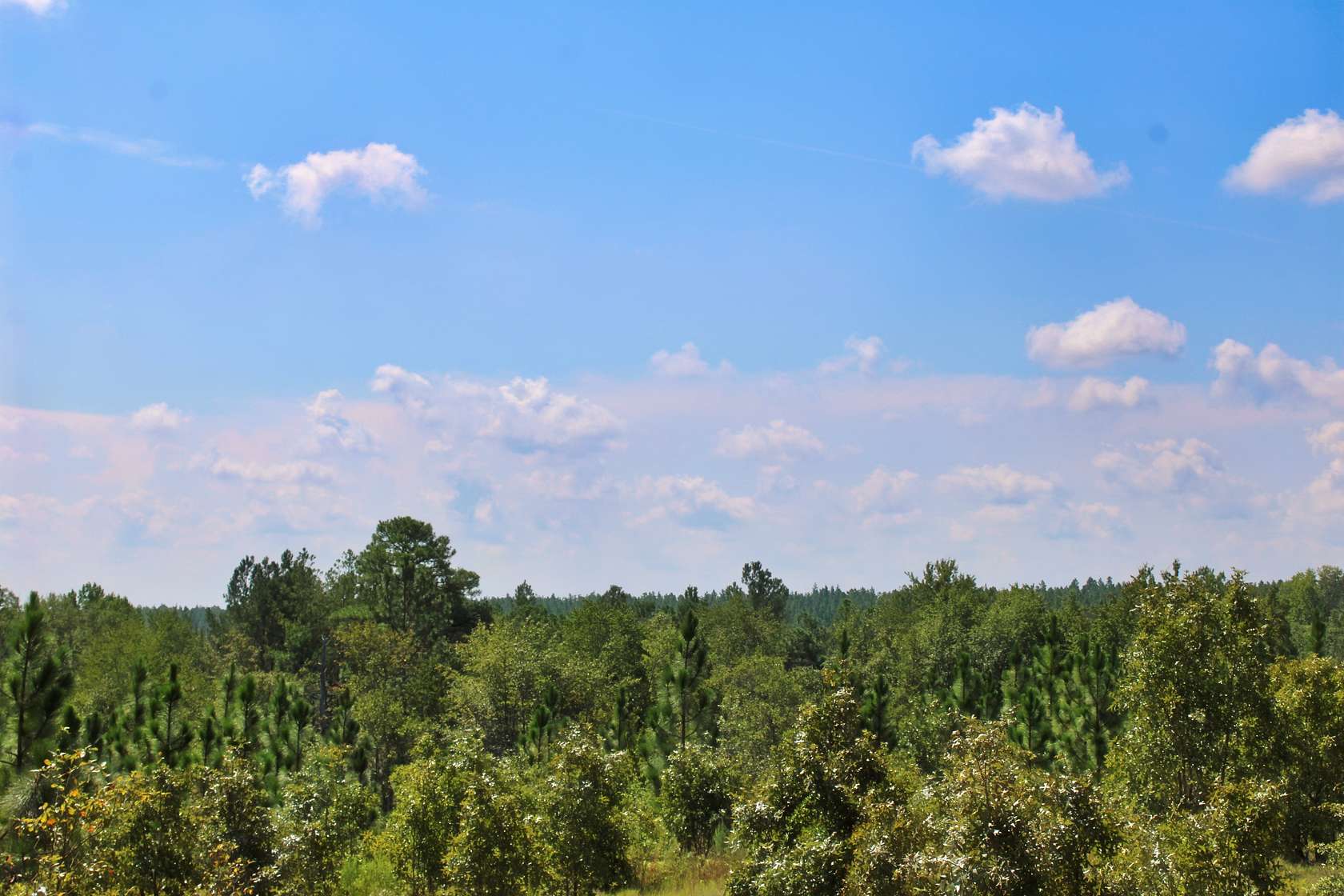 7.6 Acres of Agricultural Land for Sale in Patrick, South Carolina