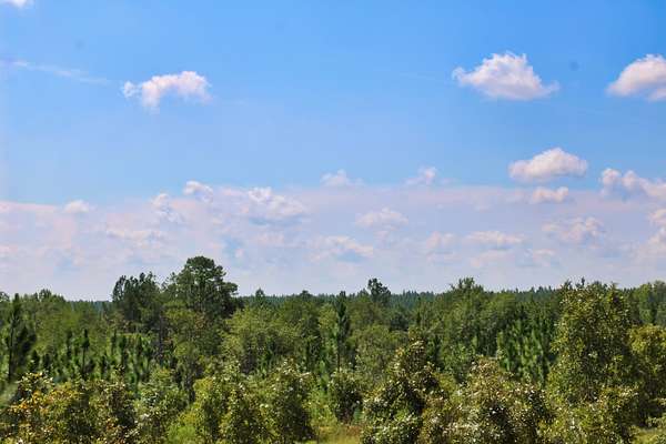 7.6 Acres of Agricultural Land for Sale in Patrick, South Carolina