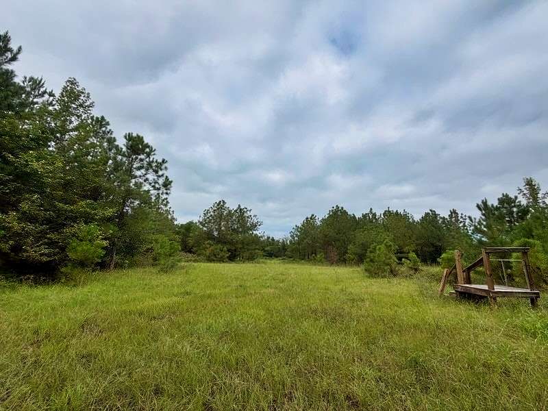 3.6 Acres of Land for Sale in Cheraw, South Carolina
