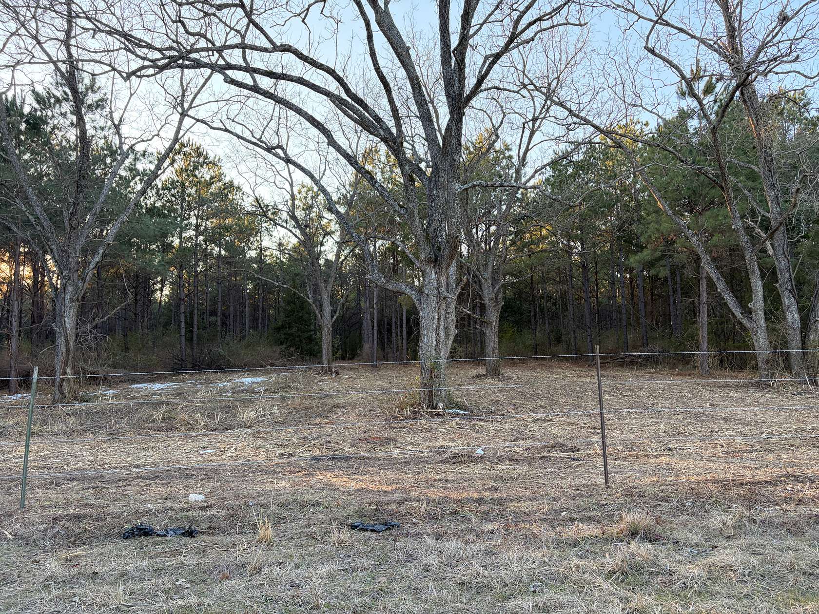 24 Acres of Land for Sale in Hughes Springs, Texas