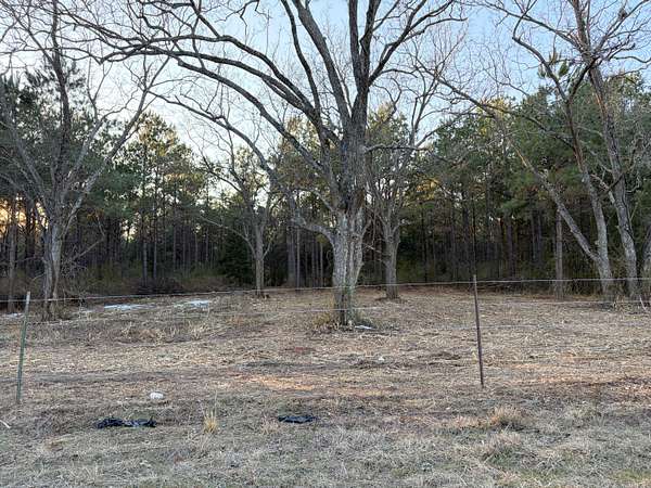 24 Acres of Land for Sale in Hughes Springs, Texas