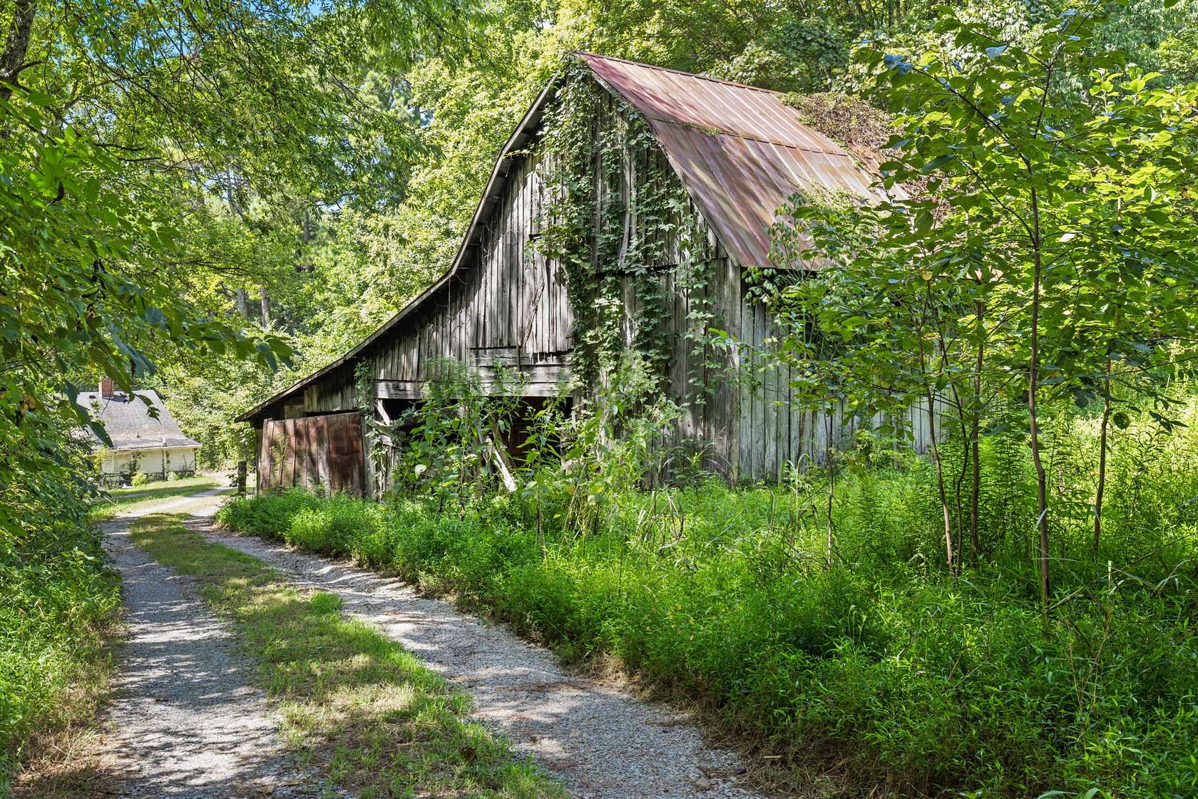 75.2 Acres of Recreational & Residential Land for Auction in Pleasant View, Tennessee