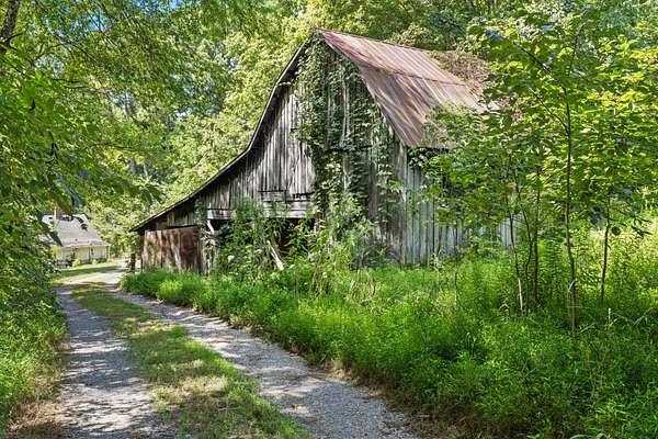 75.2 Acres of Recreational & Residential Land for Auction in Pleasant View, Tennessee