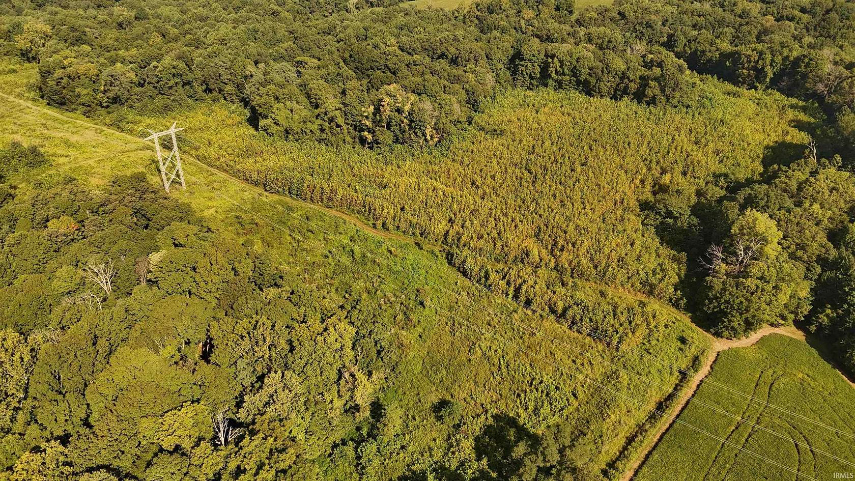 50.5 Acres of Recreational Land for Sale in Hazleton, Indiana