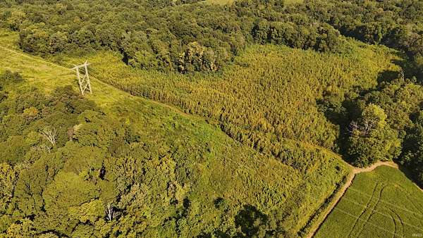 50.5 Acres of Recreational Land for Sale in Hazleton, Indiana