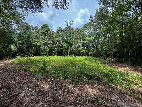 30 Acres of Land for Sale in Ruth, Mississippi