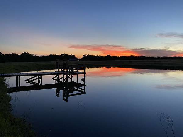 60 Acres of Land for Sale in Burton, Texas