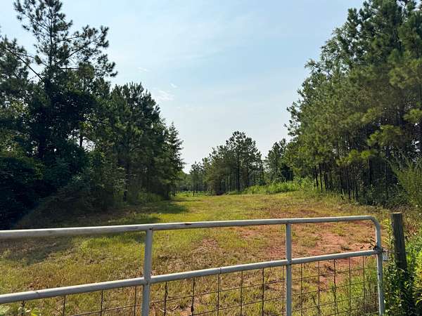 131 Acres of Land for Sale in Lumpkin, Georgia