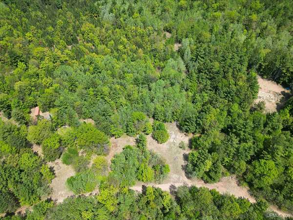 40 Acres of Land for Sale in Marquette, Michigan