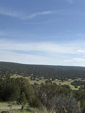 5 Acres of Residential Land for Sale in Concho, Arizona