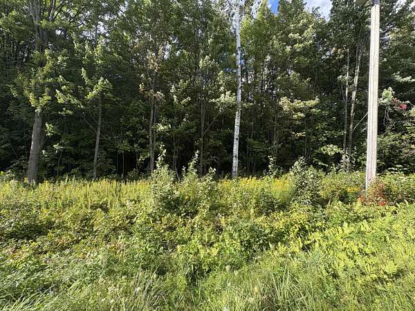 25 Acres of Recreational & Residential Land for Sale in Burke, New York
