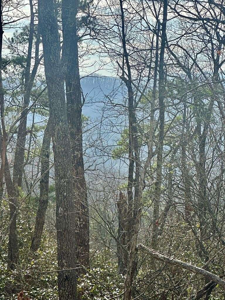 2.2 Acres of Land for Sale in Blue Ridge, Georgia