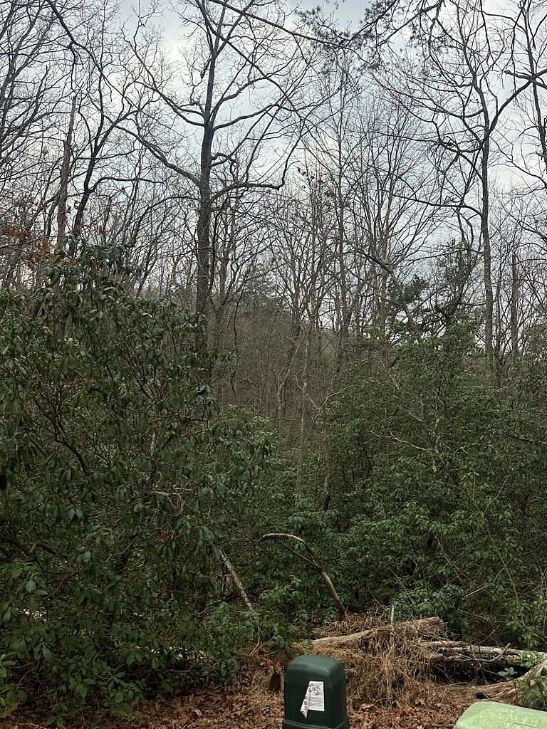 1.62 Acres of Land for Sale in Blue Ridge, Georgia