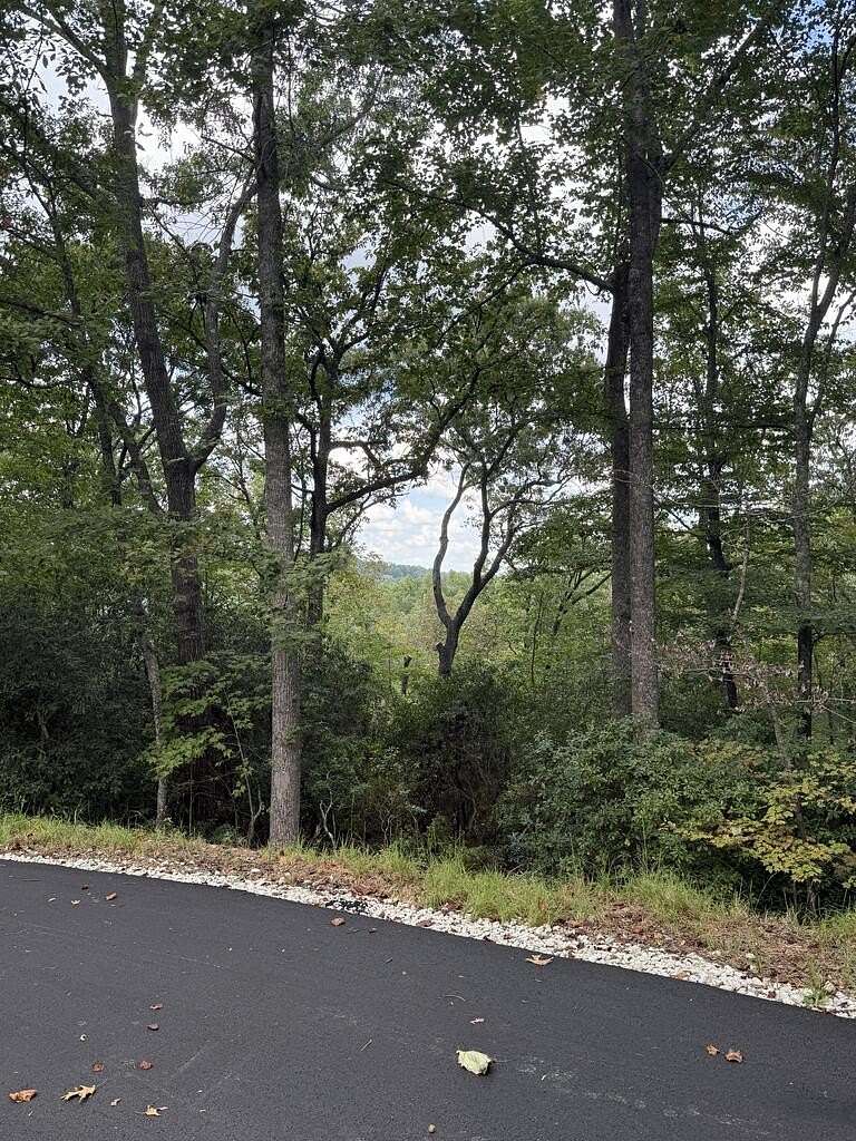 1.62 Acres of Land for Sale in Blue Ridge, Georgia
