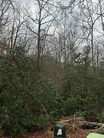 1.62 Acres of Land for Sale in Blue Ridge, Georgia