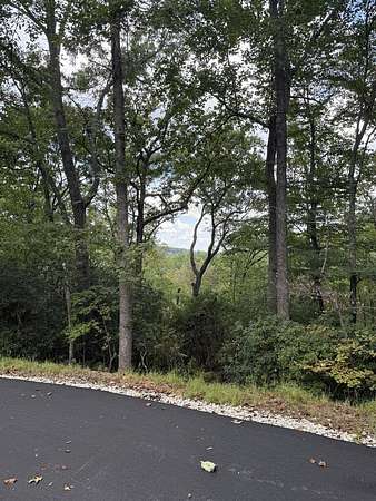 1.62 Acres of Land for Sale in Blue Ridge, Georgia