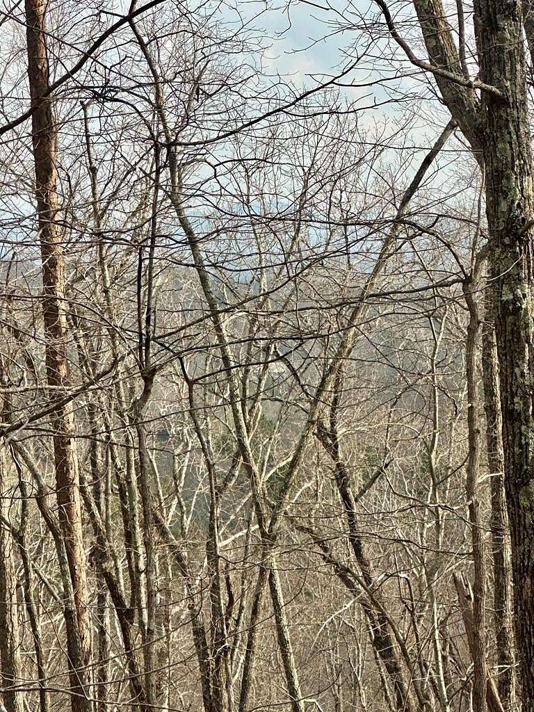 2 Acres of Land for Sale in Blue Ridge, Georgia