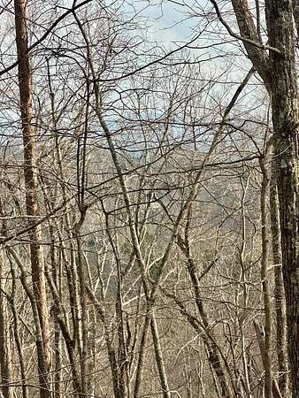 2 Acres of Land for Sale in Blue Ridge, Georgia