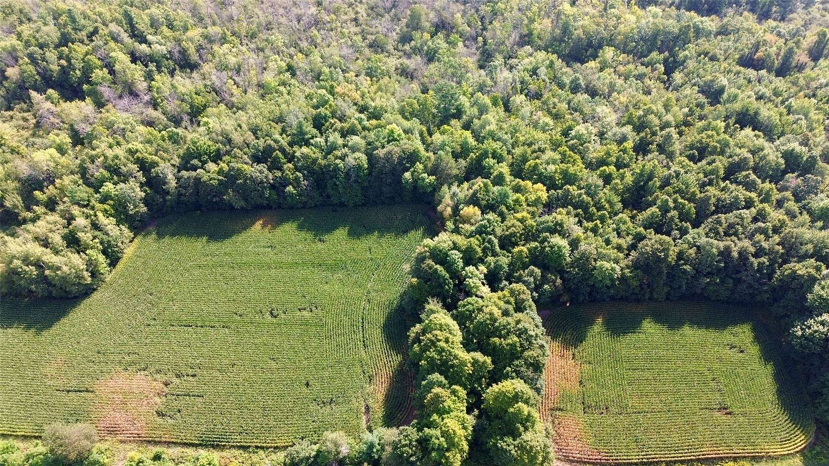 17.9 Acres of Land for Sale in Cornell, Wisconsin