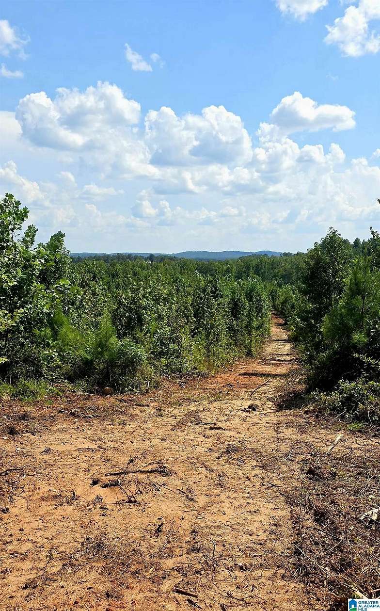 11.3 Acres of Land for Sale in Wedowee, Alabama
