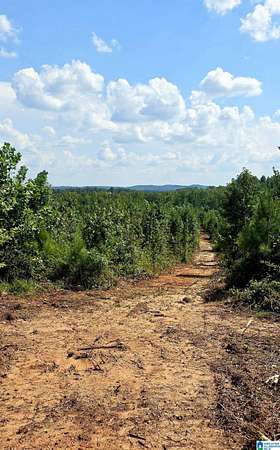 11.3 Acres of Land for Sale in Wedowee, Alabama