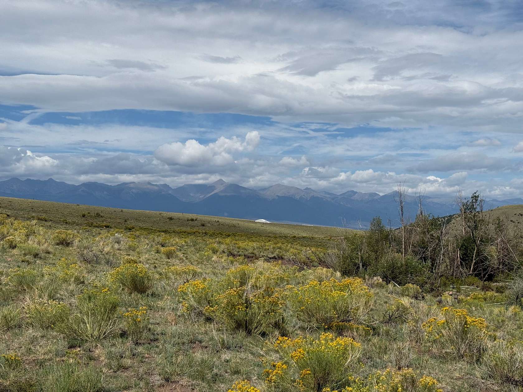 36 Acres of Land for Sale in Westcliffe, Colorado