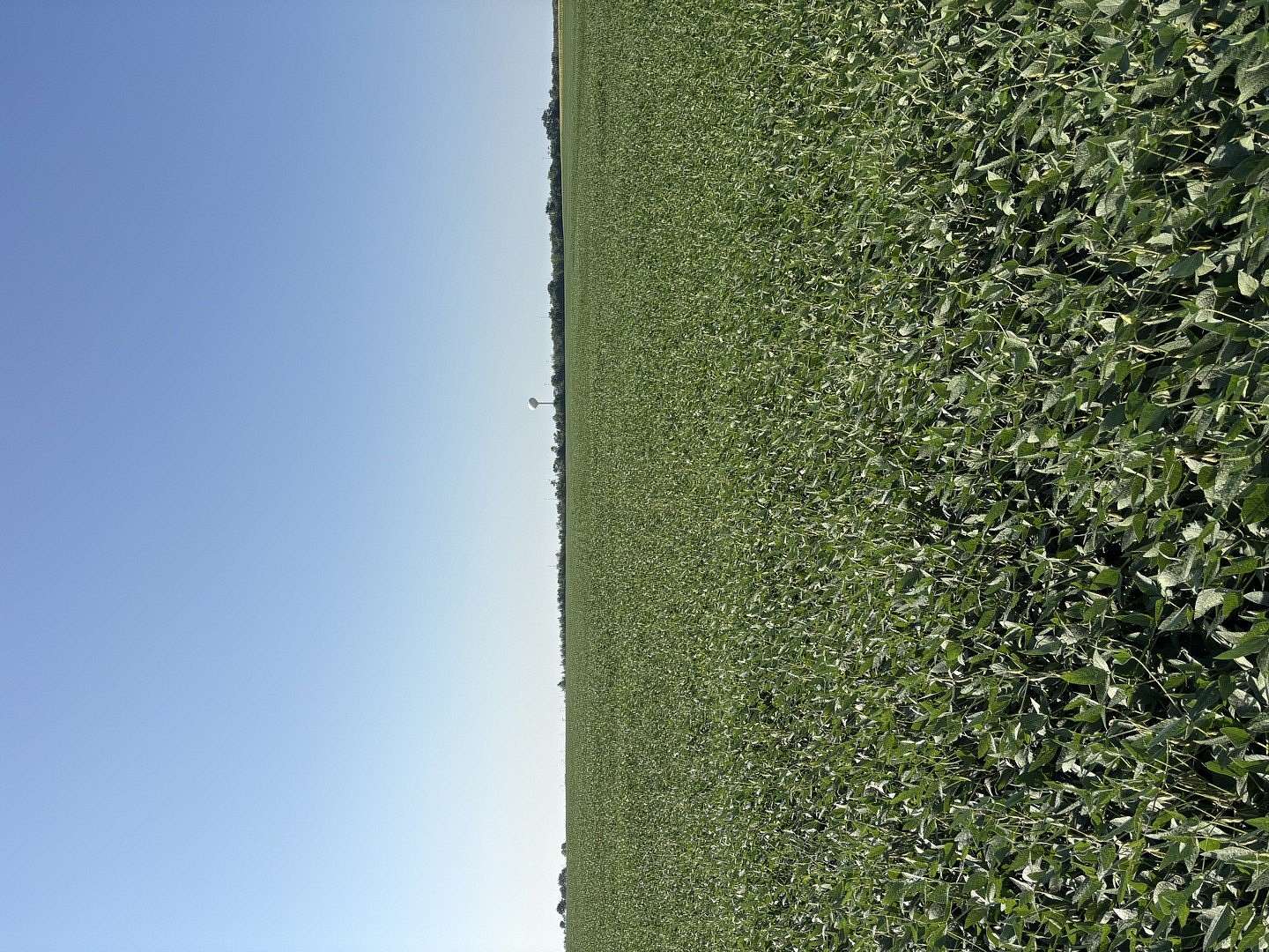87.6 Acres of Agricultural Land for Sale in Dwight, Illinois