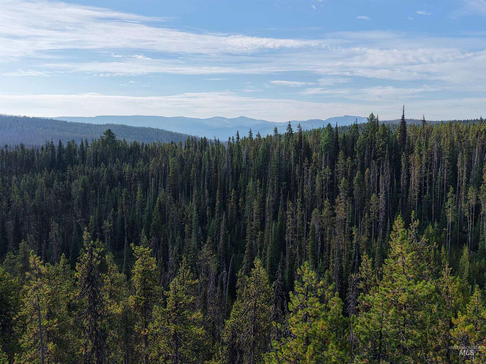 8.43 Acres of Land for Sale in Dixie, Idaho