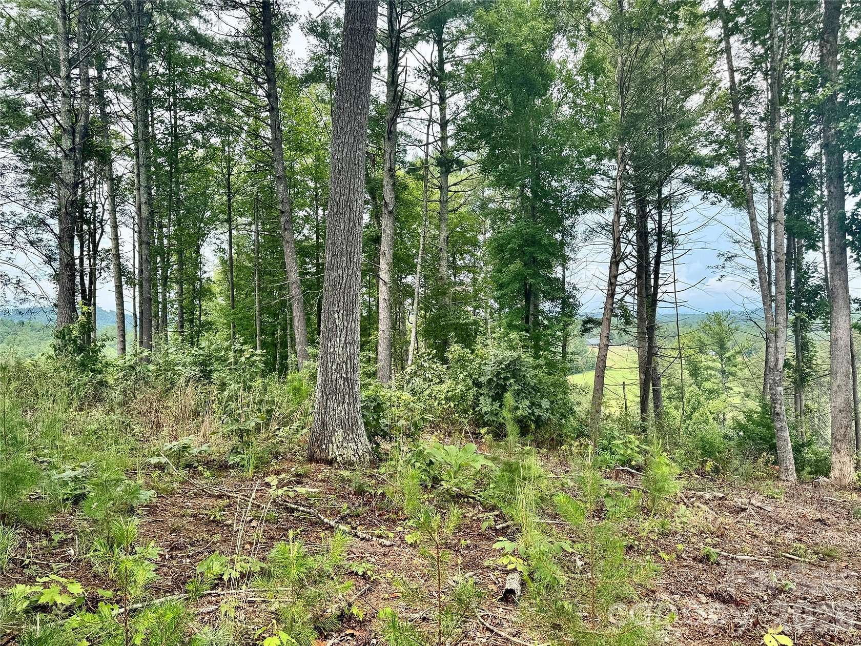 2 Acres of Residential Land for Sale in Lenoir, North Carolina