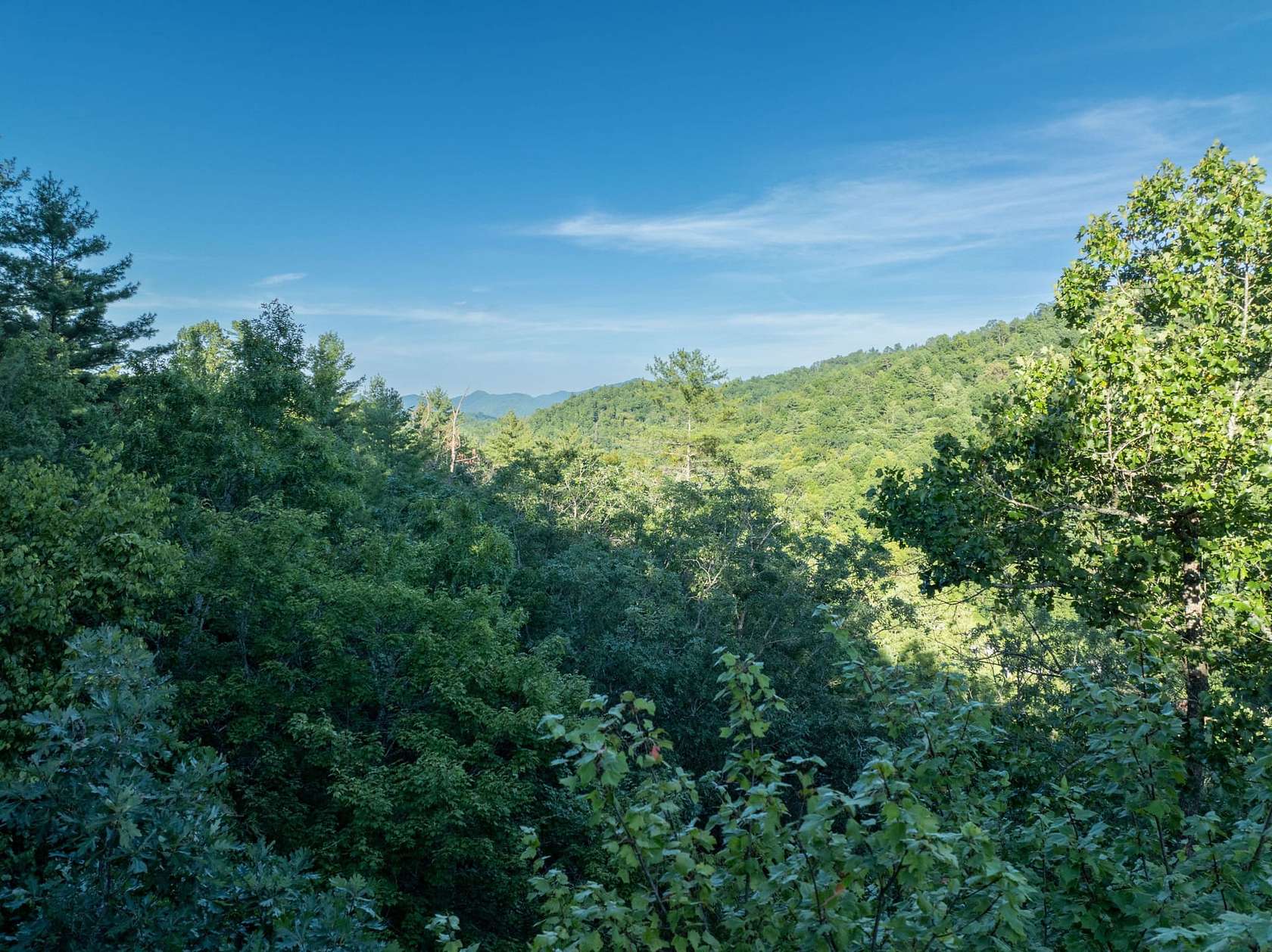 8.49 Acres of Recreational Land for Sale in Robbinsville, North Carolina