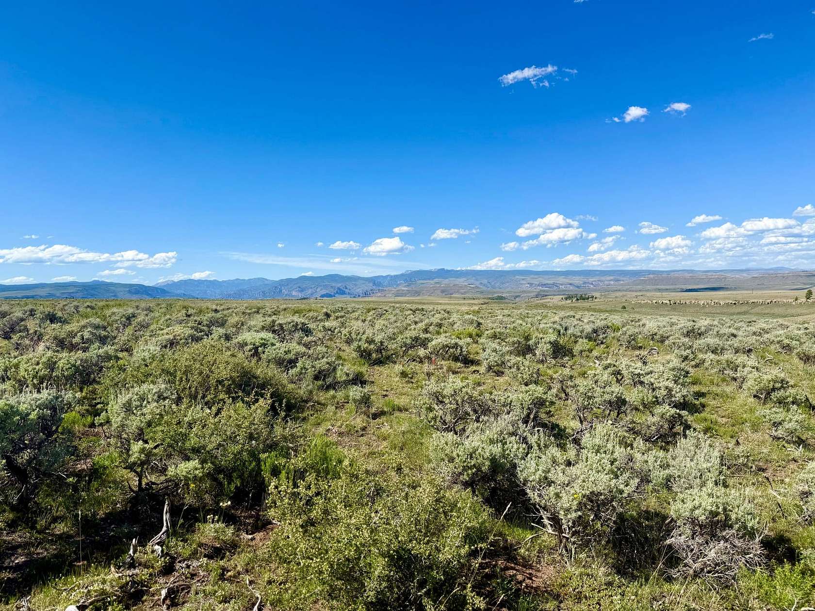 80 Acres of Land for Sale in Gunnison, Colorado