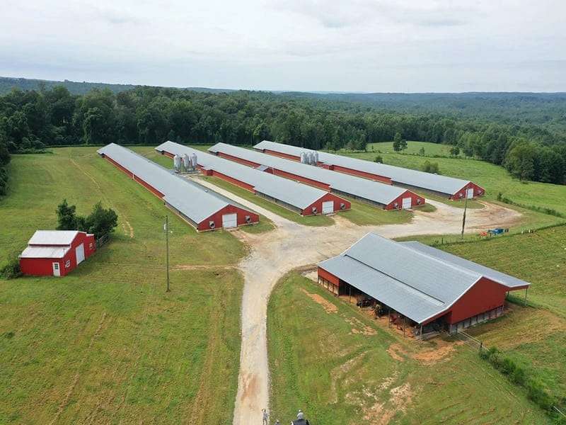 44 Acres of Agricultural & Residential Land for Sale in Altoona, Alabama