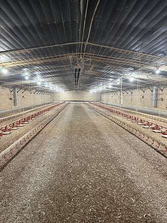 30 Acres of Agricultural Land for Sale in Samson, Alabama