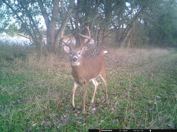 22 Acres of Land for Sale in Peru Township, Iowa