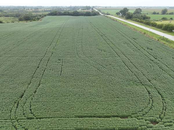 24.4 Acres of Land for Sale in Exline, Iowa
