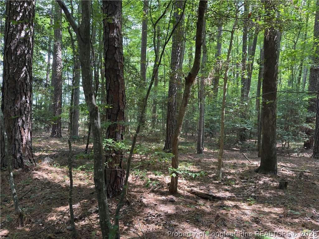 0.41 Acres of Residential Land for Sale in Sanford, North Carolina