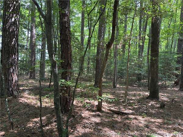 0.41 Acres of Residential Land for Sale in Sanford, North Carolina