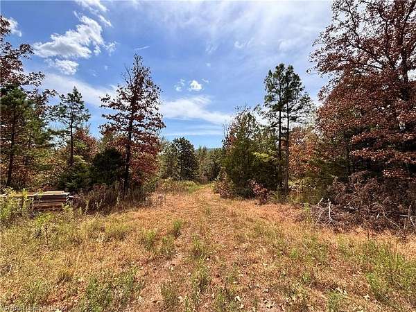 16.6 Acres of Land for Sale in Booneville, Arkansas