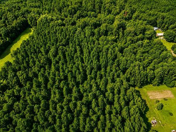 20.5 Acres of Recreational Land for Sale in Sandy Hook, Mississippi