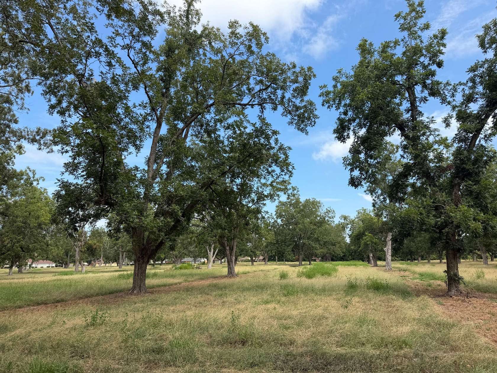 3 Acres of Residential Land for Sale in Waycross, Georgia