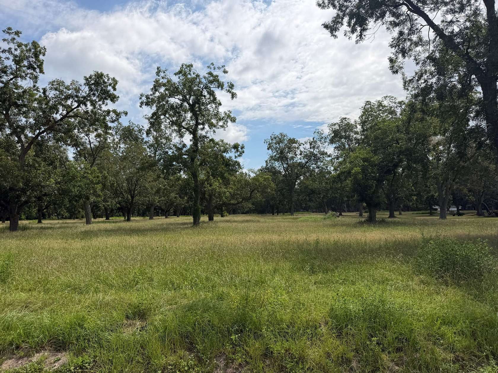 2 Acres of Residential Land for Sale in Waycross, Georgia