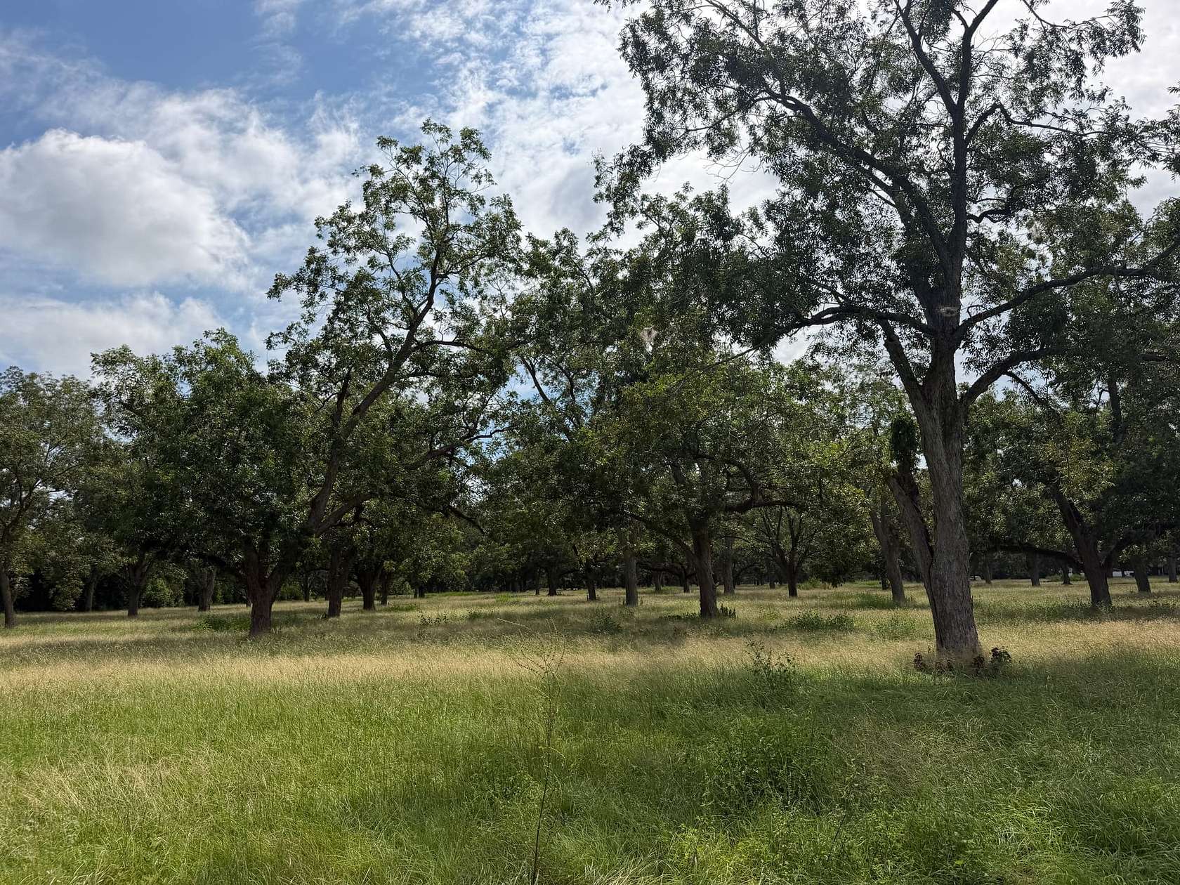 2 Acres of Residential Land for Sale in Waycross, Georgia