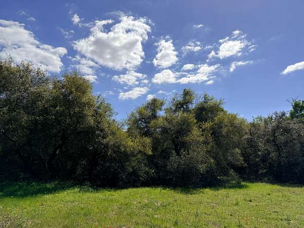 33.9 Acres of Land for Sale in Garwood, Texas