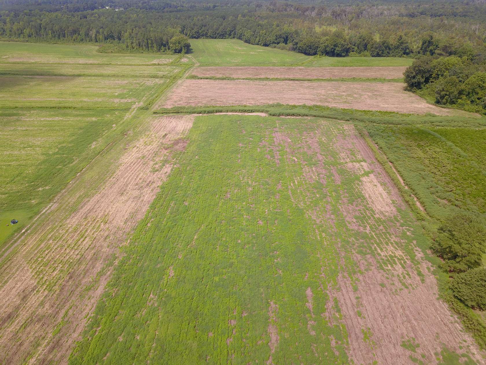 25.7 Acres of Land for Sale in Wallace, North Carolina