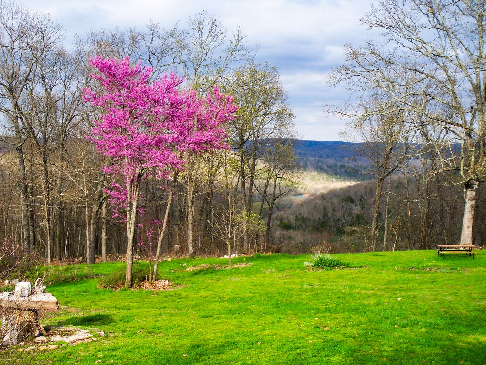 80 Acres of Land with Home for Sale in Eminence, Missouri