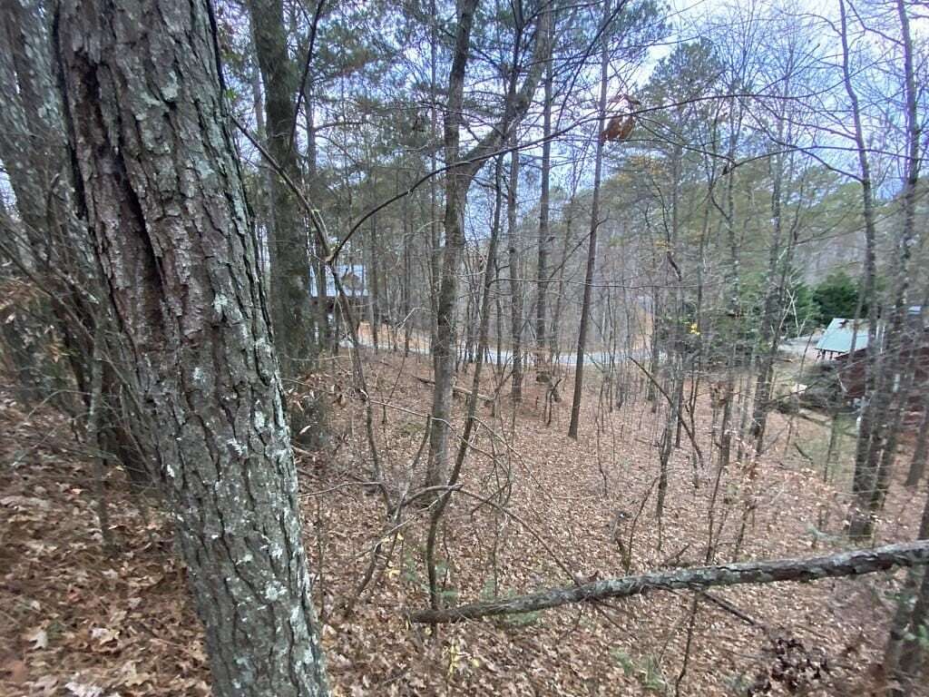 1.14 Acres of Land for Sale in Ellijay, Georgia