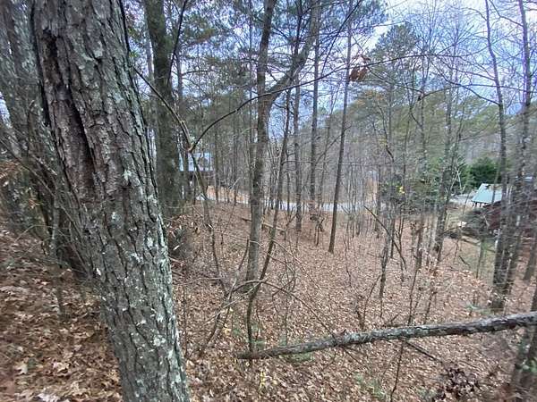 1.14 Acres of Land for Sale in Ellijay, Georgia